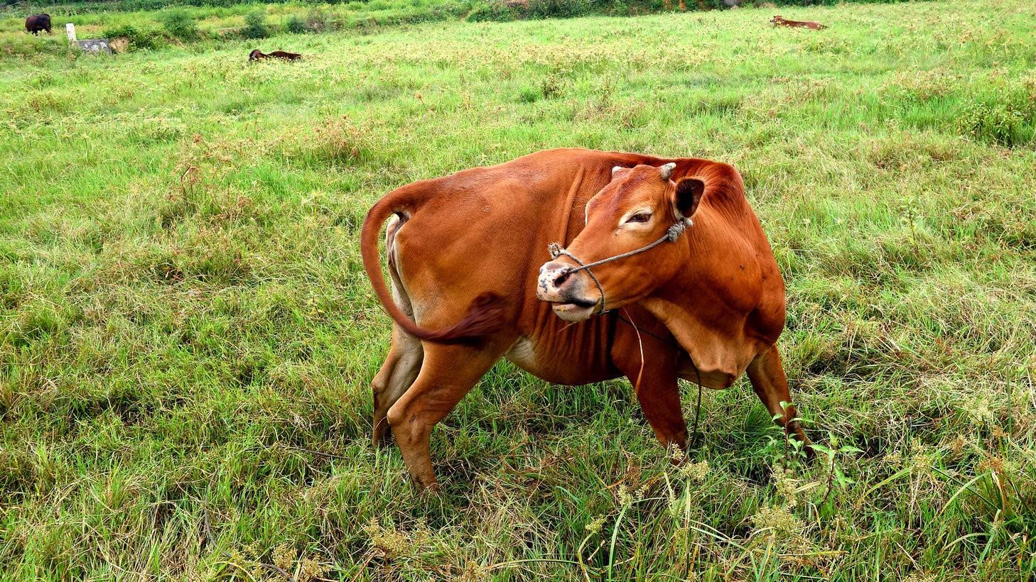 19722025ÿ 1973ţ2025ÿ