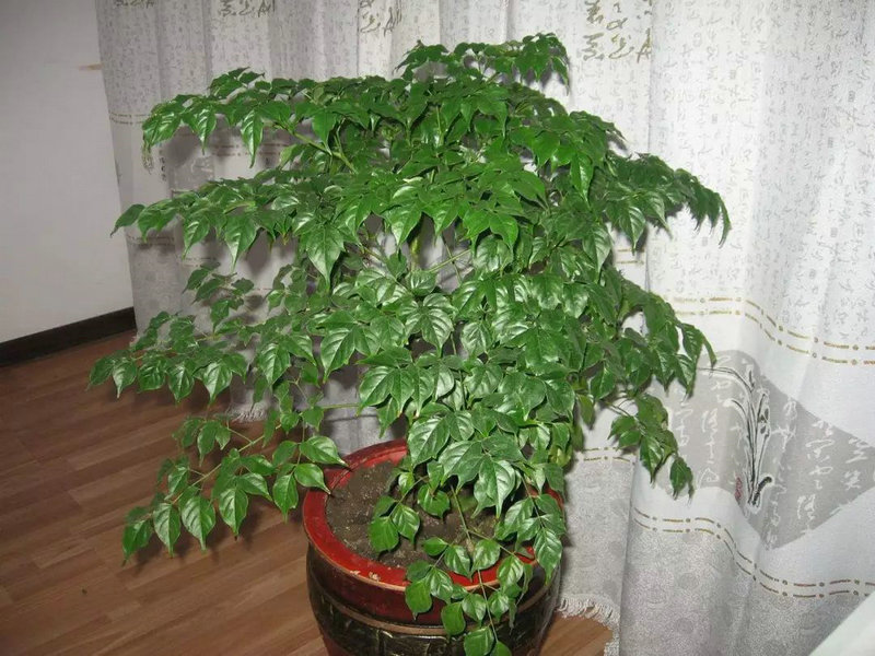 ӵĲλʺϷʲô,λʺϷʲô