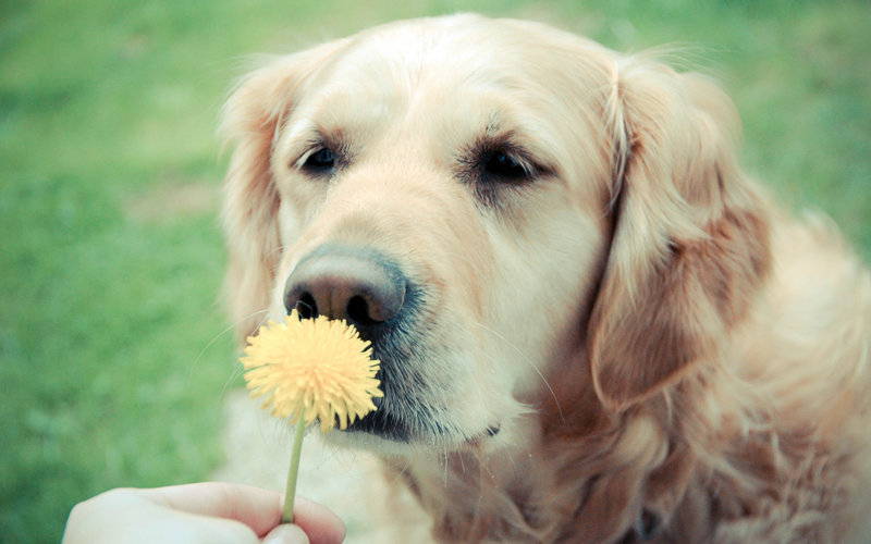 �����ļ�����̸��������ԭ����������������