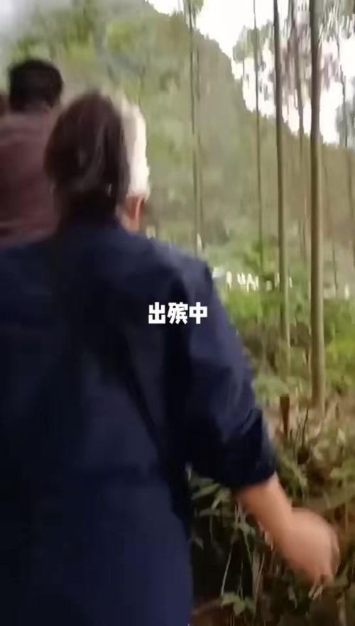 ���ѽ�������