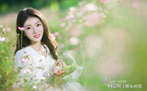 �������������ѧ����(���׾���������,��β�ѯ��������)