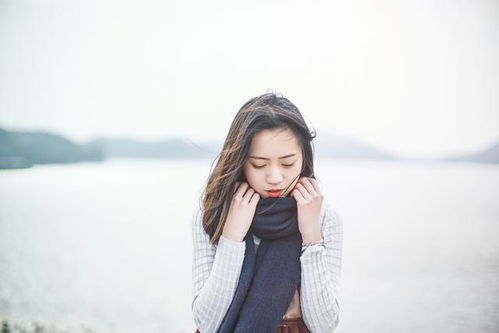 万年历每日属相查询表 日子属相对照表 万年历每日属相查询表 日子属相对照表