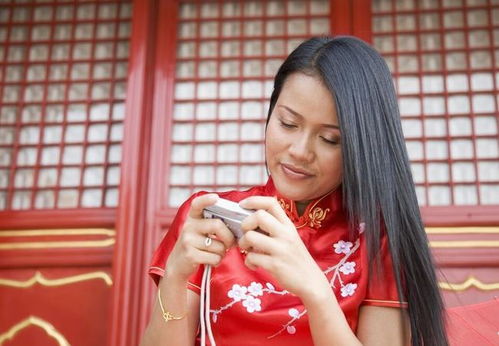 �����漱���� �����漱��������