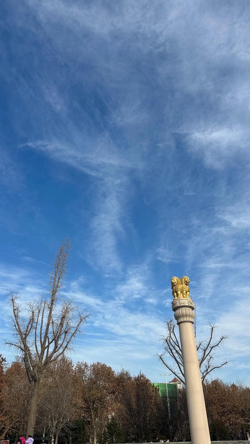 ѧ���ι�����_�ξ������ʵ�����������Ԥʾ