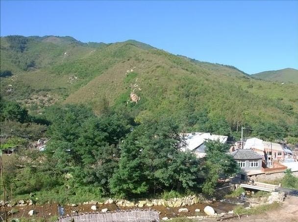 ߺʲôû 96к2001Ůʲô˼