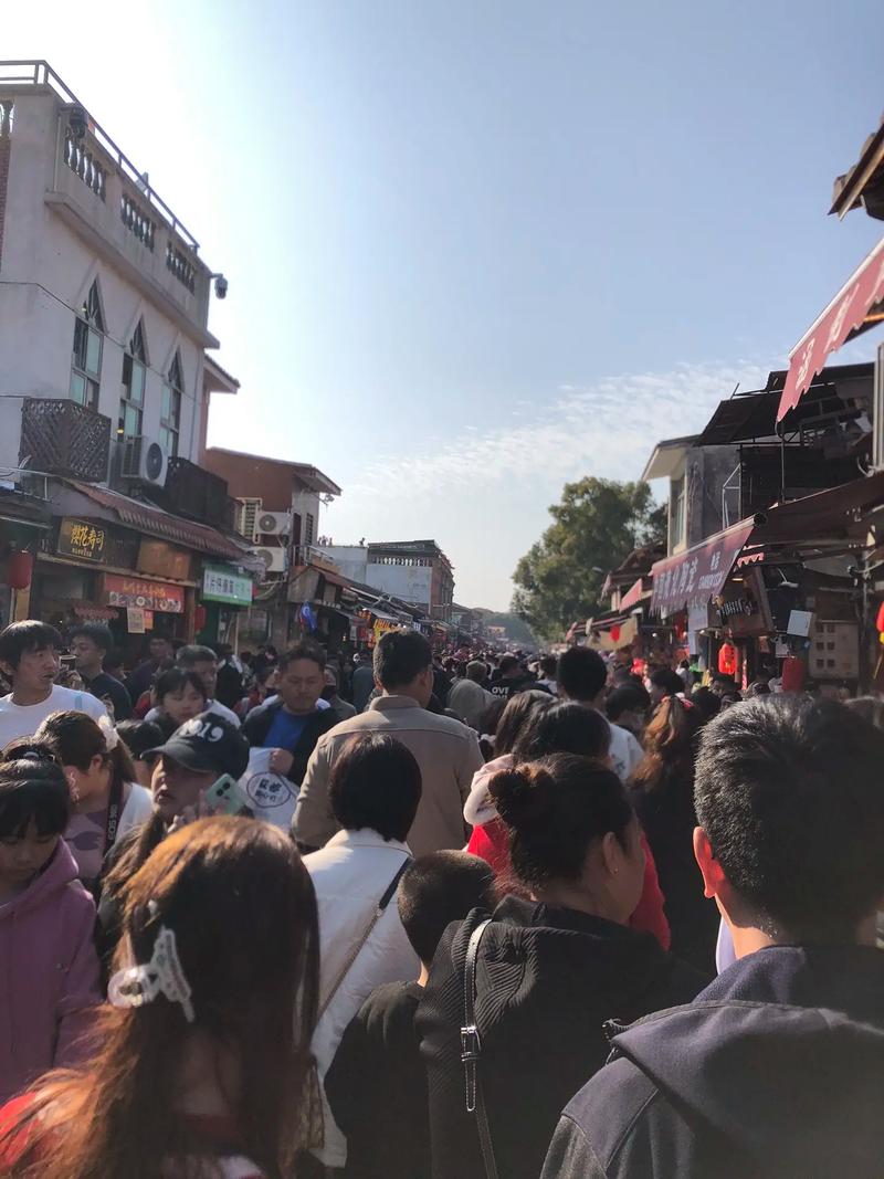 �����Ĺ�����ʲô����