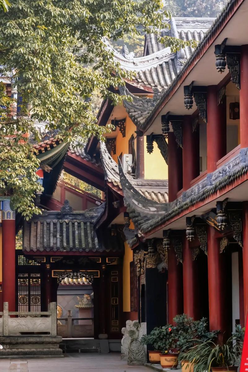 ҪǰһΪФʧ(ҪǰһФΪʧ)