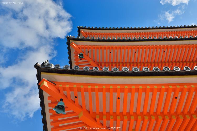 ���ս�Ŀ������