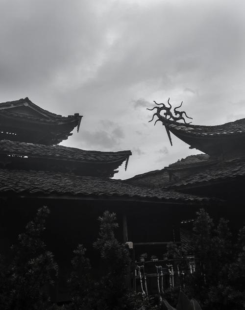 ��Ӱ��Ӱһ�ŵ�Ӱ��Ӱһ��Ӣ�����߹ۿ��������