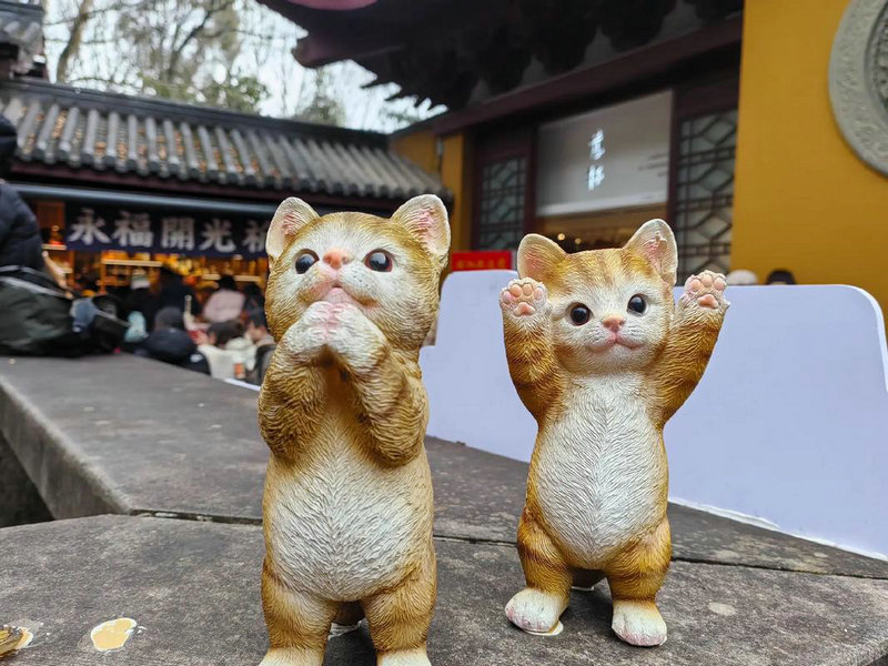 Ҷͯ��ͥ�����ع� �Ϲ�����Ȧ�в��ֳ������ţ�