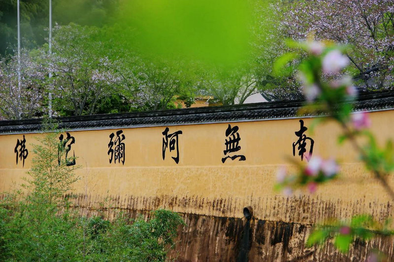 αҧ ʲô˼_μ´ѩʲô˼