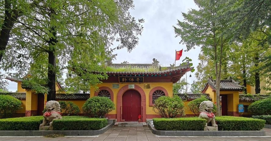 ����˵�Ұ�������ǧ������(��������������)