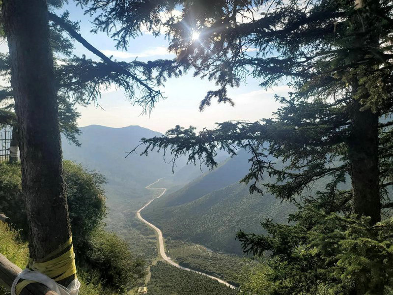 ǩʼͶʧܣδȥδ(ǩʼͶʧк)