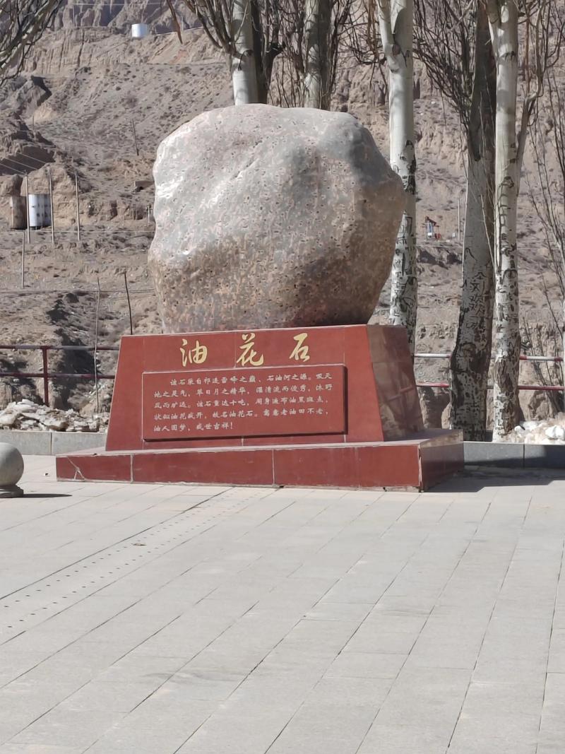 ������̣�ɹ� ������̣�ɹ���Ƶ������