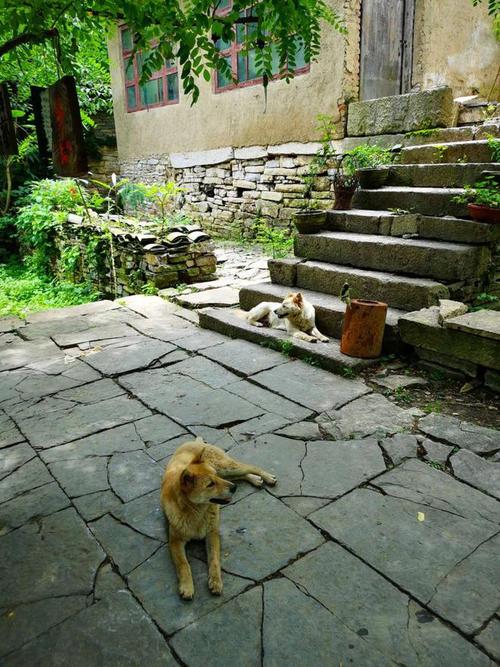 保定同名同姓是否会影响健康长寿的命理呢(保定同名同姓人会对健康与长寿产生影响吗) 保定同名同姓是否会影响健康长寿的命理呢(保定同名同姓人会对健康与长寿产生影响吗)