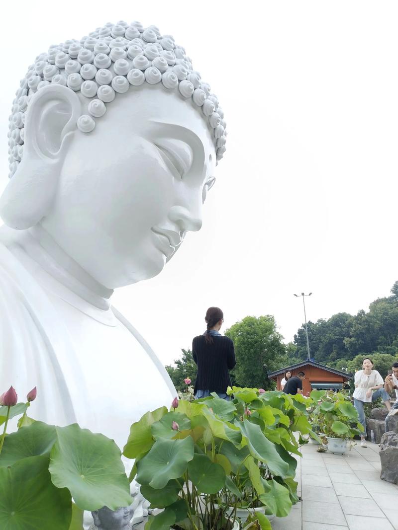 立夏的来历由来及历史故事 立夏的相关传说 立夏的来历由来及历史故事 立夏的相关传说
