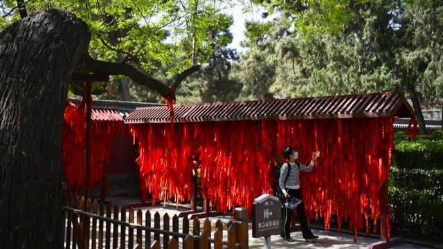 �Ű�֥���Ӻ���л������������ӵ��Ű�֥