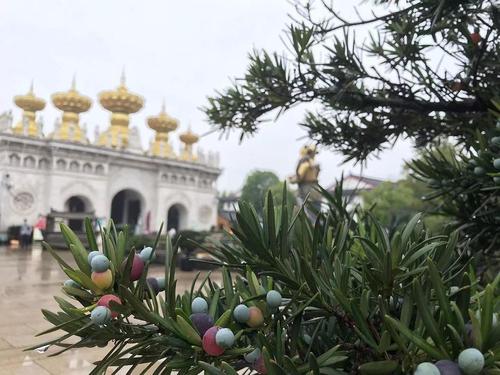 �����еĳ�ܷܷ2��Ա��