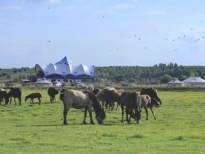 �������Ϲ�����������