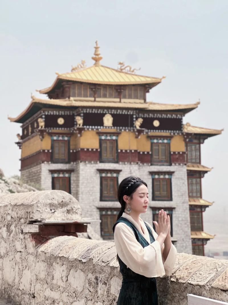 2006 20082024ȫʲô˼