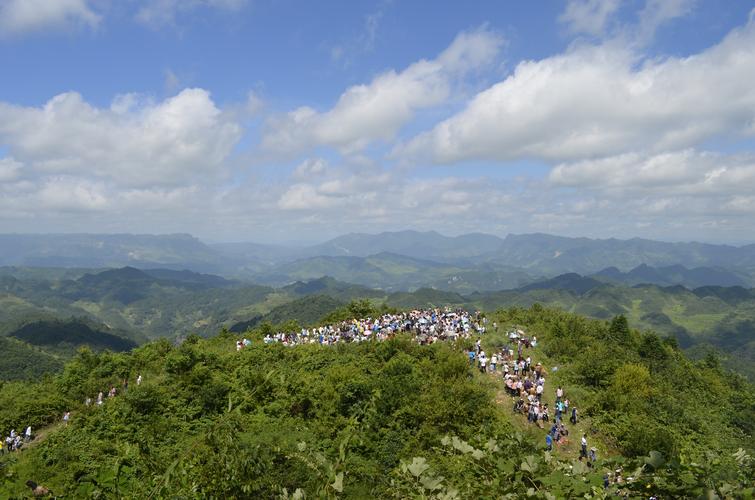 2025�Ǹ���λ�ǲ�λ,��λ���ַ�������ҳ��ҾӲ�