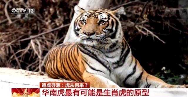 八字算命鬼谷算命鬼谷子算命 八字算命鬼谷算命鬼谷子算命