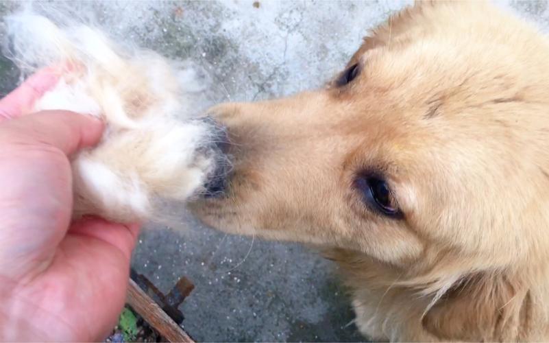 ȫ˾ʱܷǺƵ(ȫ˾ʱɫѡܸ)