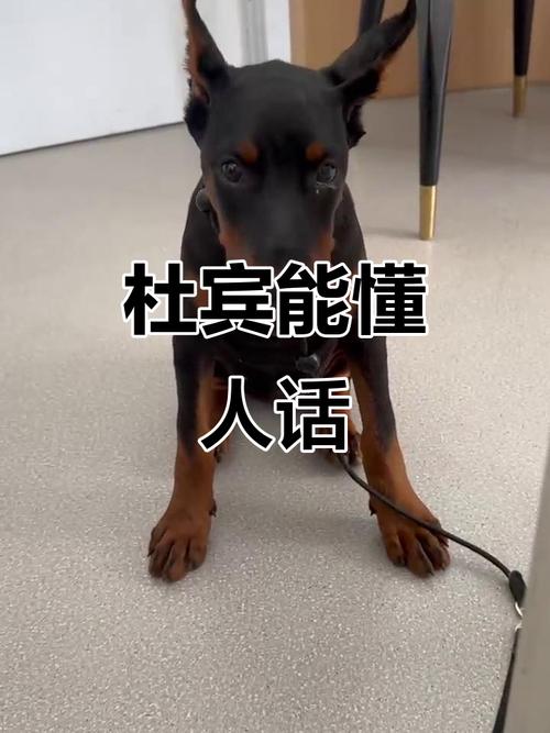 企业照壁风水--== 企业照壁风水--==