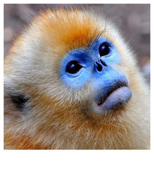 ʮ���������꾫������������