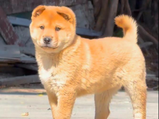 ��λ��һ��֮�в����ۼ��ķ�λ,���в�λ��ʲô