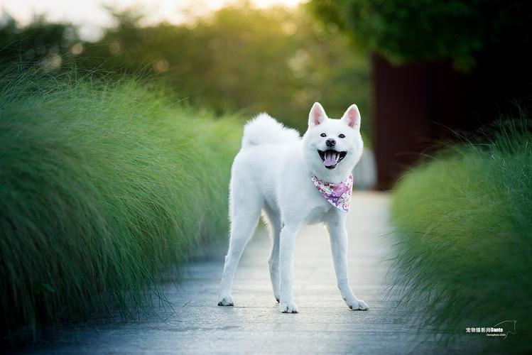 Ůţлϲ ͻӹϵôʲô˼