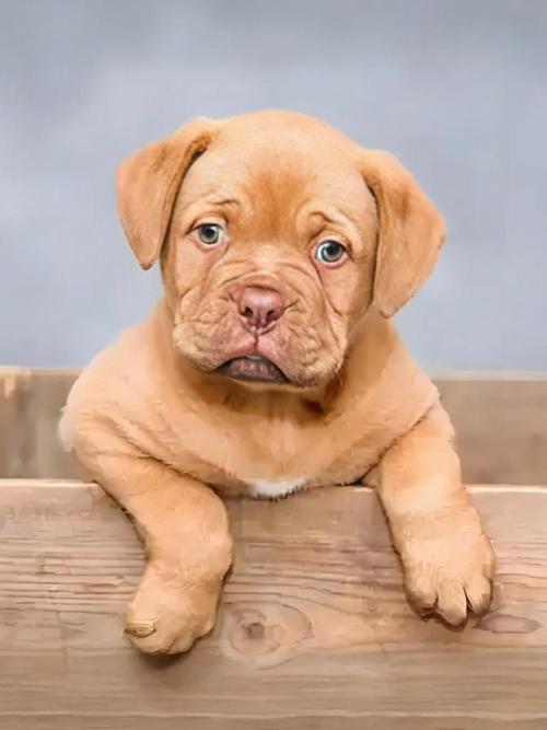 �׾������Ͱ�������(�׾��������������,���Է�����Щ���� )