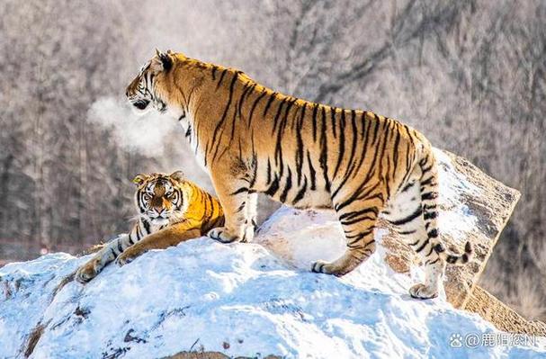 轻钢别墅风水宝地 轻钢别墅风水宝地