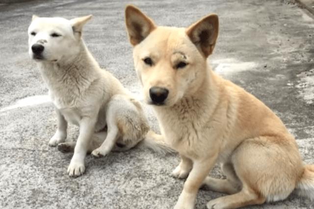 ��������ϼ����������