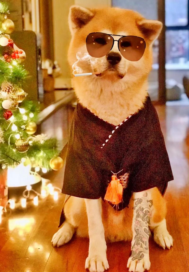 ЫŮ4 Ы4·ʲôƱȽϺ