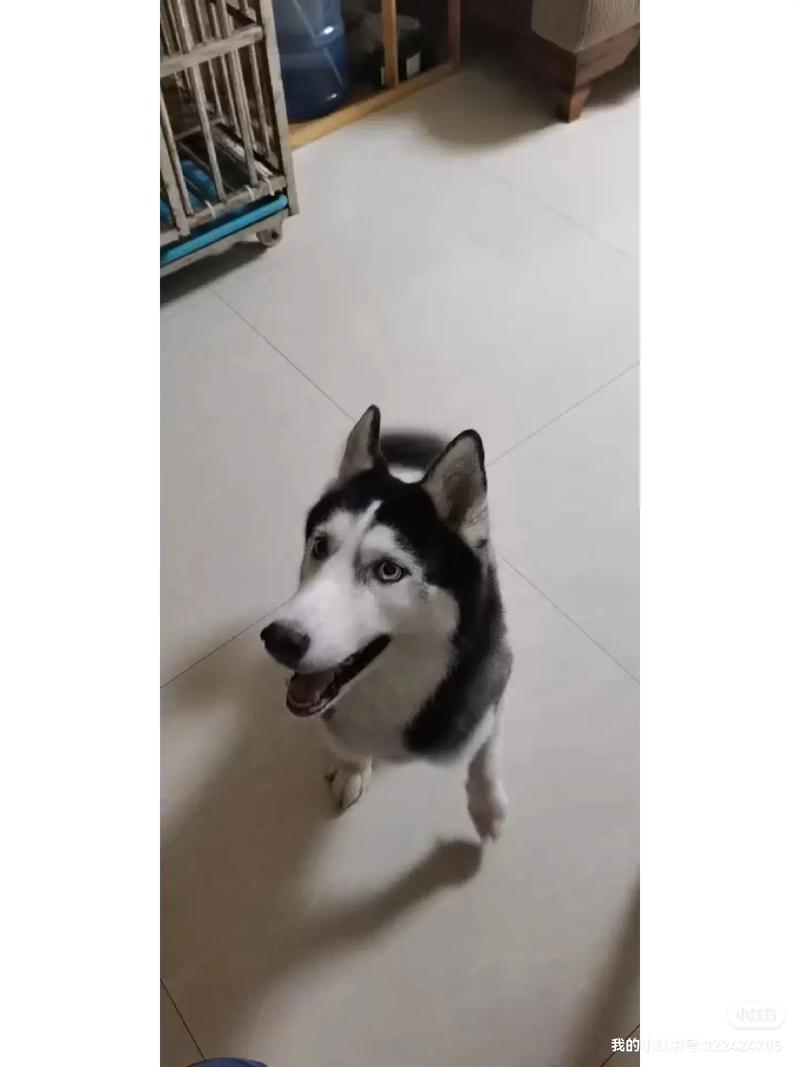 ��������˿�ж��� �������ж���Ǯ��