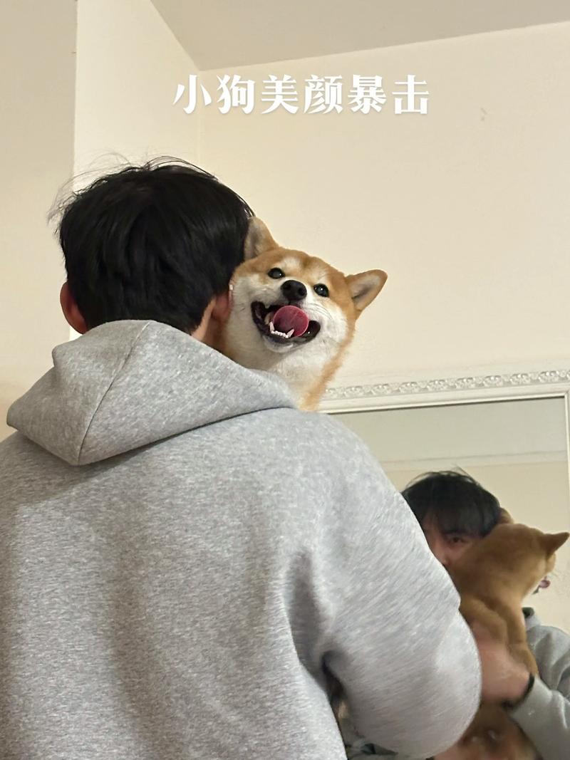 ���ֲ����ܷ�Ϊ���ǵı��չ滮���������밲��(���ֲ����ܷ�Ϊ���ǵı��չ滮���������뱣��)