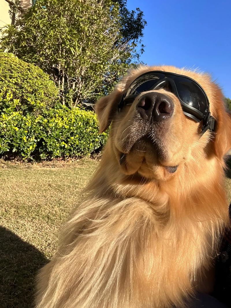 在线查星座命盘 免费测星盘格局 在线查星座命盘 免费测星盘格局