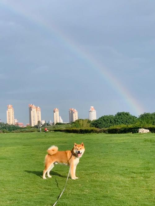 ���¼�����ʲô���� ƫ����������