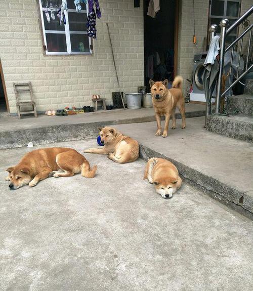 ������ǩ100ǩ��λ�����żְҵ��ְǩ������(������ǩ100ǩ��λ�����żְҵ����ְ����)