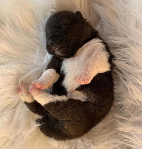 丙申年份的车牌是否在车牌在线查吉凶测试中显示出潜在的风险或不利影响你是否担心车牌对运势的影响 丙申年份的车牌是否在车牌在线查吉凶测试中显示出潜在的风险或不利影响你是否担心车牌对运势的影响