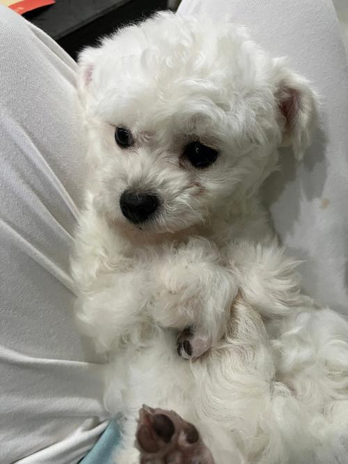 ����3��ǩ����_�ϻ�����Ƿ��г����(����3��ǩ���ƺϻ�����Ƿ��г)