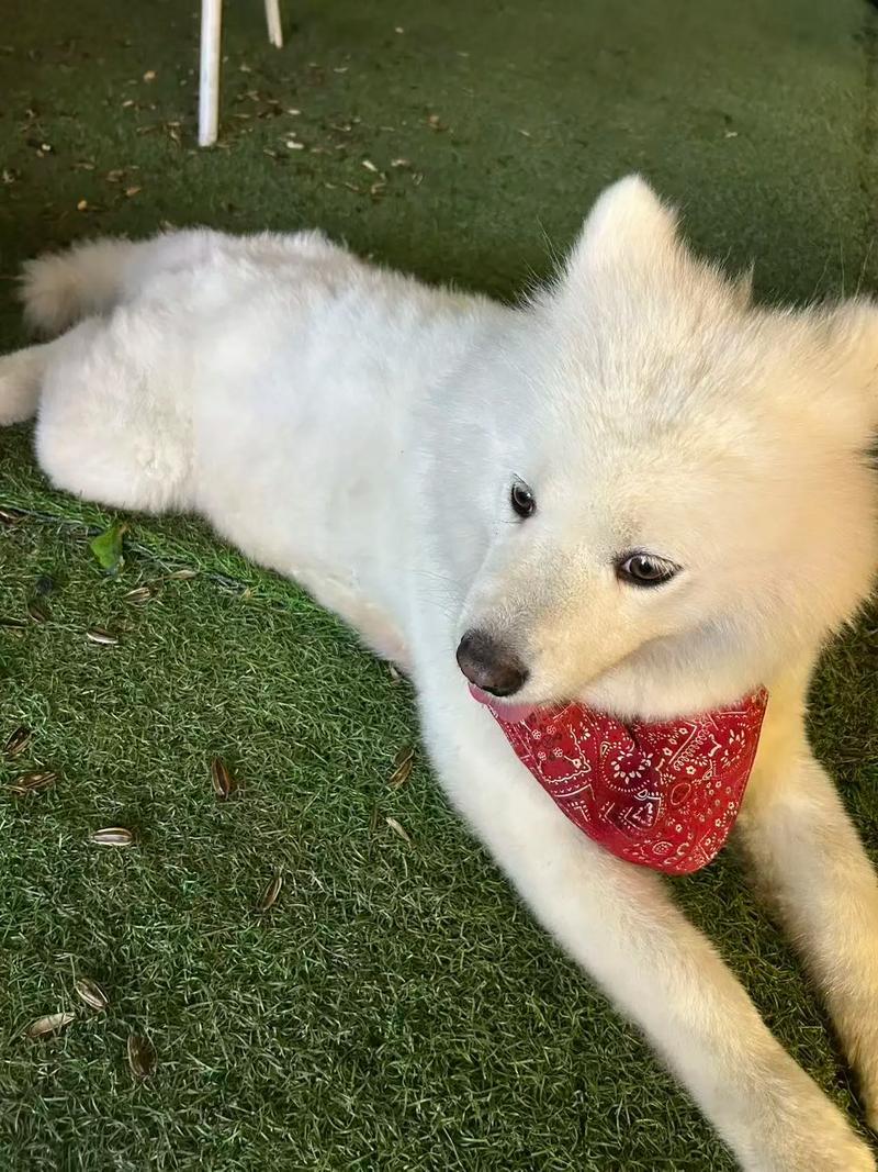 ƴ887ǩԵ_ϢʱǷӰԵ˳(ƴ887ǩԵϢʱǷӰԵ)