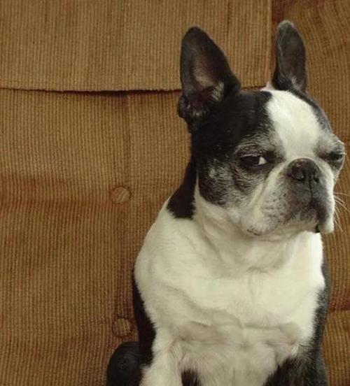 1991�������������� 1991�������˻���ע��