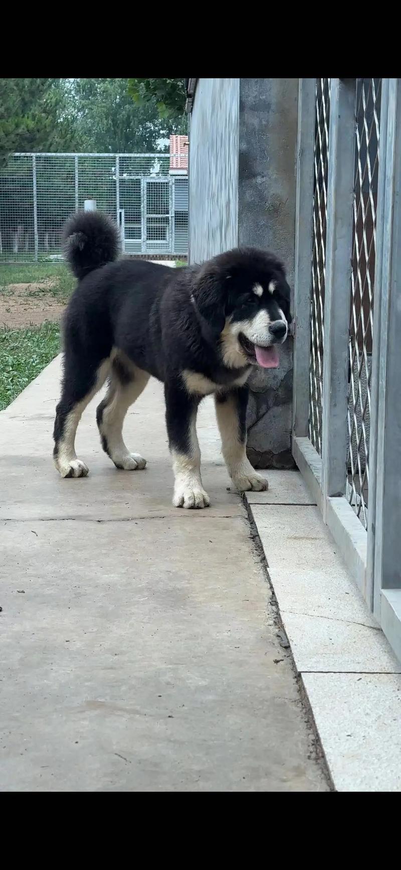 痴迷于古典美女的星座男生_哪些星座最有古典气质 痴迷于古典美女的星座男生_哪些星座最有古典气质