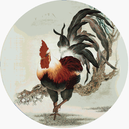 张亚东的所有作品张亚东是谁啊或者他有过什 张亚东的所有作品张亚东是谁啊或者他有过什