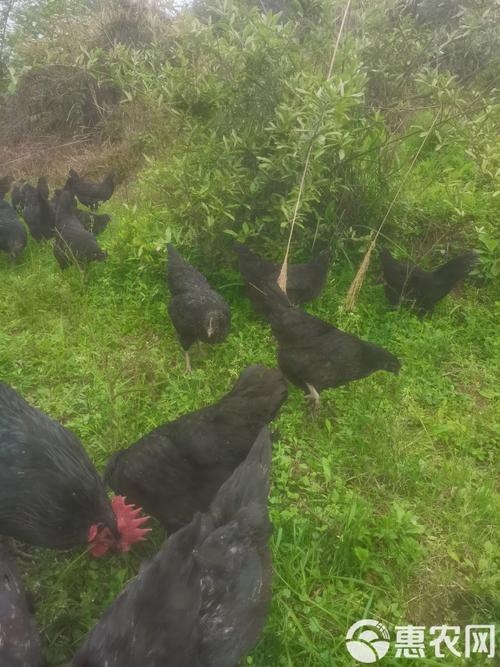 招偏财运的水晶有哪些 招偏财运的水晶有哪些