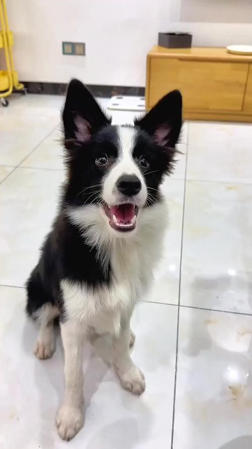 梦见哭,也同样有反射人与物品的能量。在风 梦见哭,也同样有反射人与物品的能量。在风