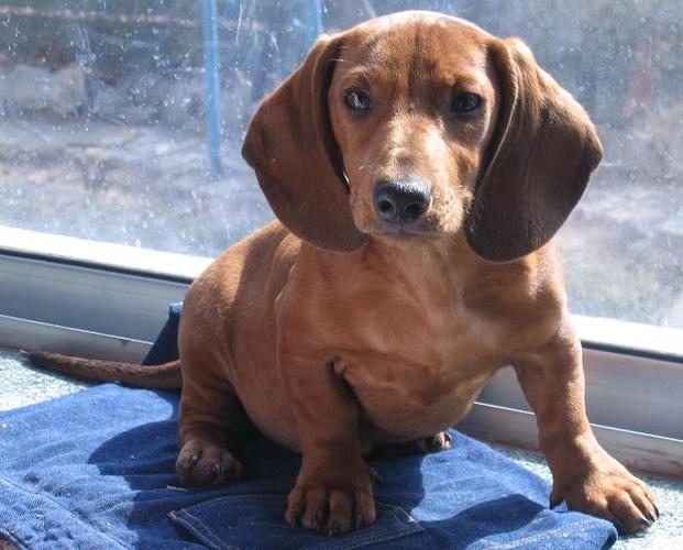 ��Ы��ʮ���ϰ������� ����Ы����������