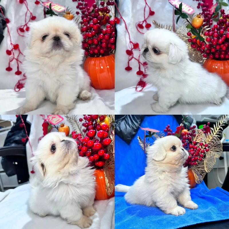 ��־��������ʳƷ��˾